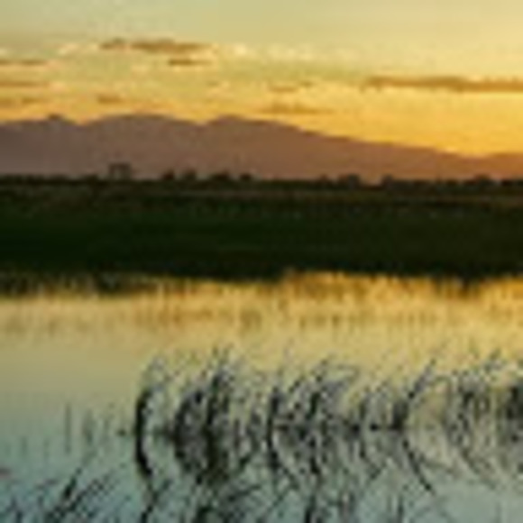 Meet your Posher, Salt,e - Picture 1 of 1